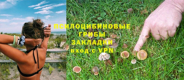 ALPHA-PVP Верхний Тагил