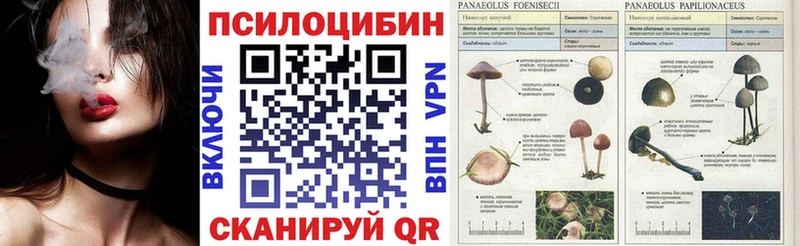 Галлюциногенные грибы мухоморы  даркнет сайт  Чебоксары 